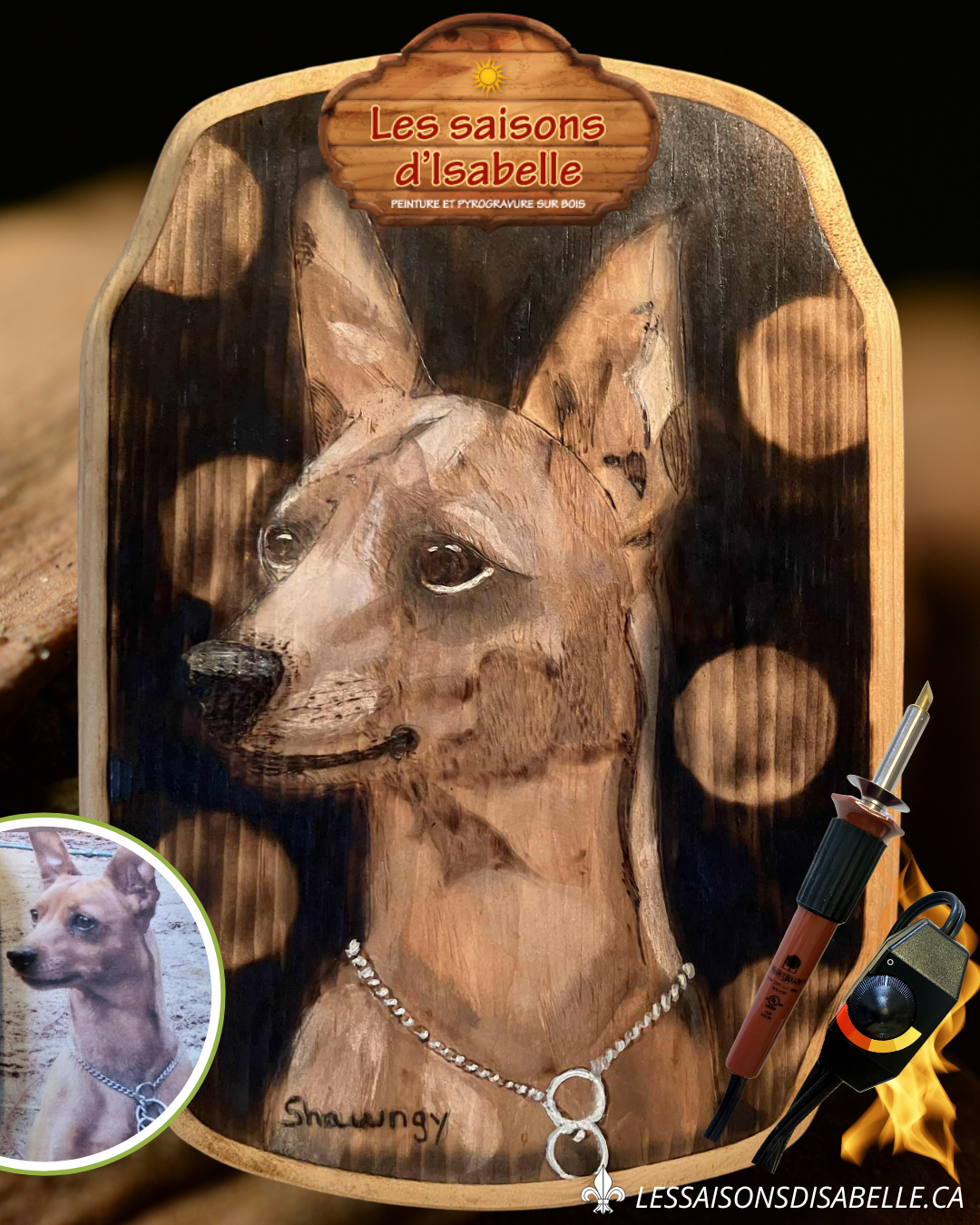 Créations à personnaliser