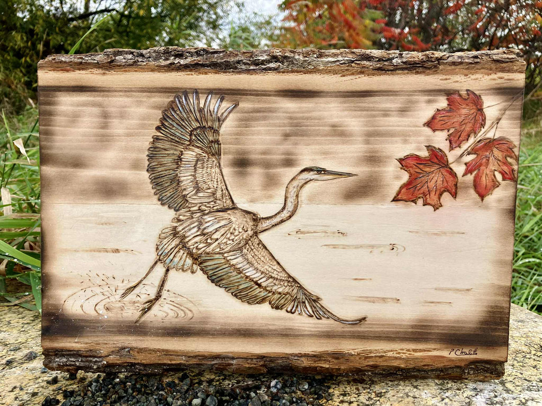 Héron d'automne
