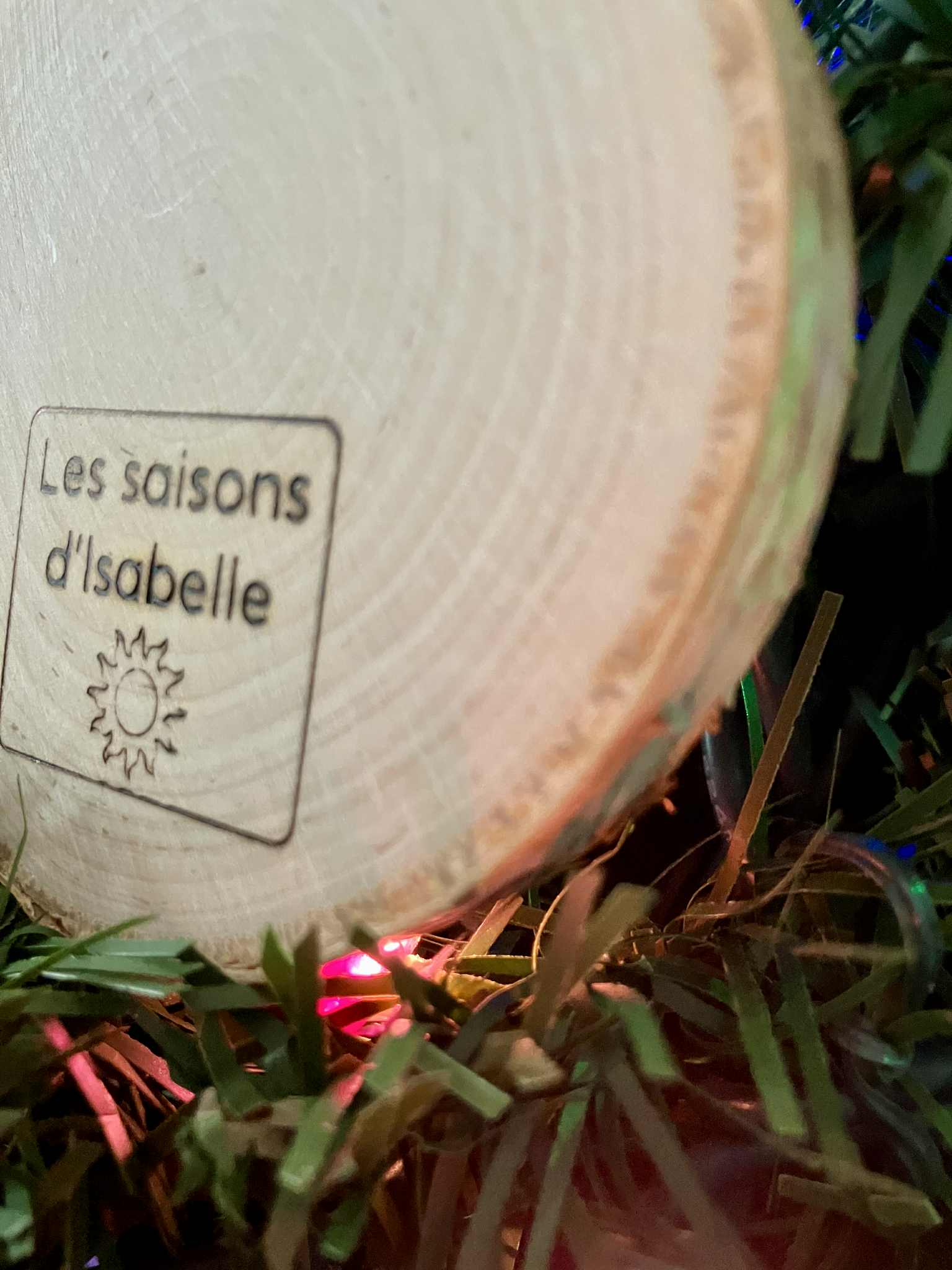 Ornement de ton fidèle compagnon — pyrogravure sur bois (personnalisé)