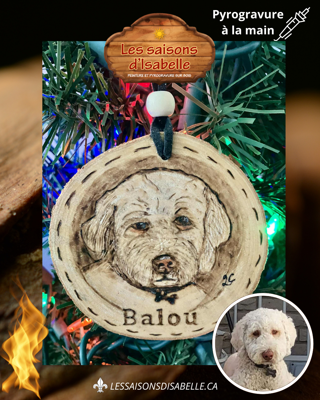 Ornement de ton fidèle compagnon — pyrogravure sur bois (personnalisé)